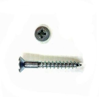 Capfit Screw. Phillips Drive 10g