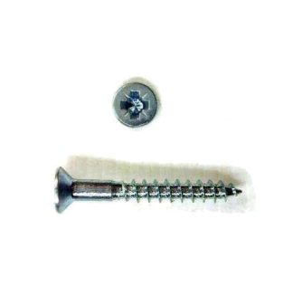 Capfit Screw. Pozi Drive 10g