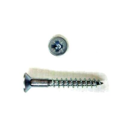 Capfit Screw. Pozi Drive 10g