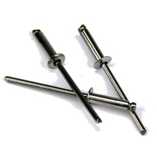 4-2 Stainless Steel Rivet & Steel Stem. Dome Head