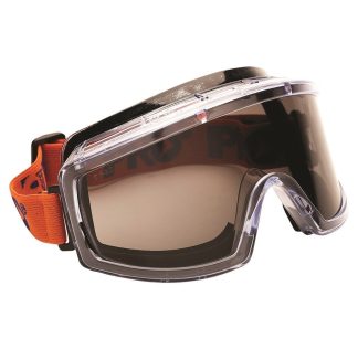 Series 3702 Tinted Goggles